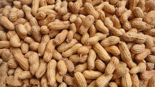 Ԥ�����׶��Щ���� www.027eat.com