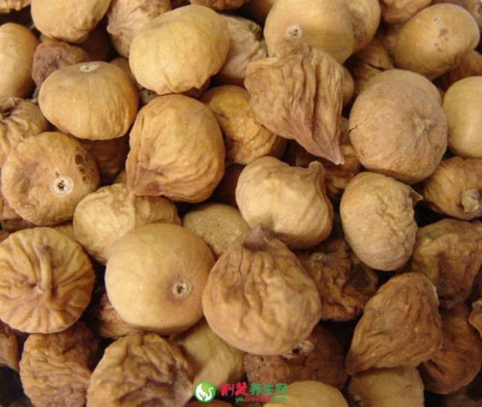 �޻�������ˮ�ȵĹ�Ч www.027eat.com