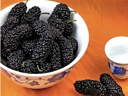 ɣ�صĹ�Ч������ www.027eat.com