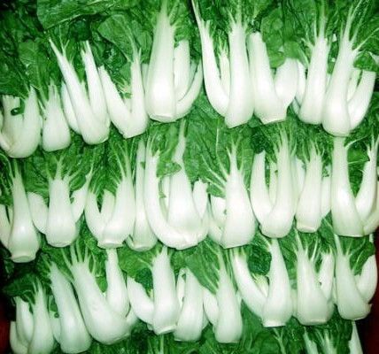 ������δ����ײˣ���ײ˴���� www.027eat.com