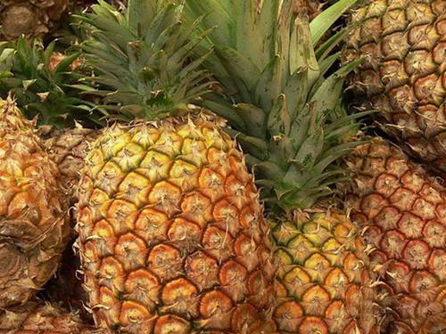 �������ųԲ���Ӫ�����ܷ����� www.027eat.com