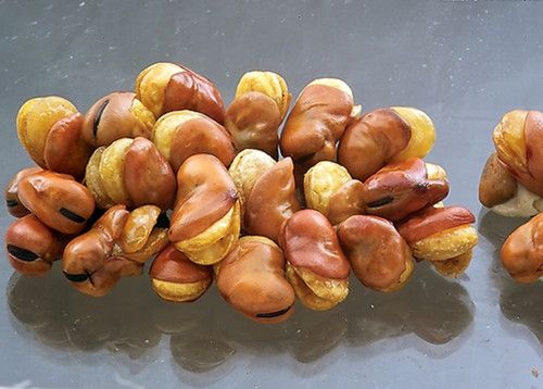 蚕豆的营养价值 蚕豆的使用方法及功效 www.027eat.com