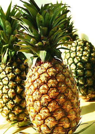 ���ܿ��԰��������� www.027eat.com