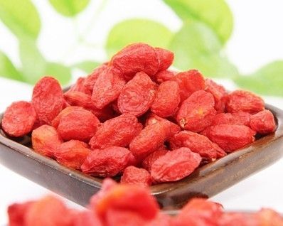 �ļ���ô����������� www.027eat.com