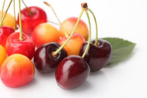 ӣ�ҵ�ҩ�ü�ֵ www.027eat.com