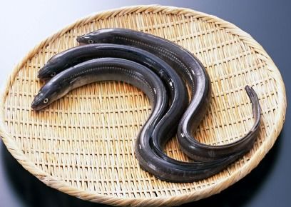 ����Ĺ�Ч������ www.027eat.com