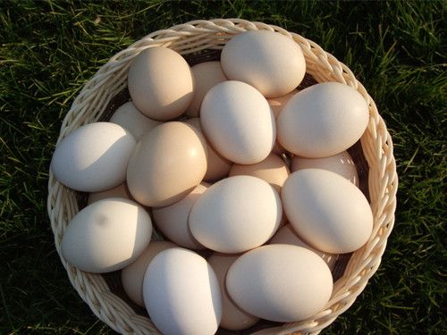 ������Ĥ����ȷʹ�÷��� www.027eat.com