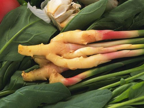 �������ư�ͺ�ķ��� www.027eat.com