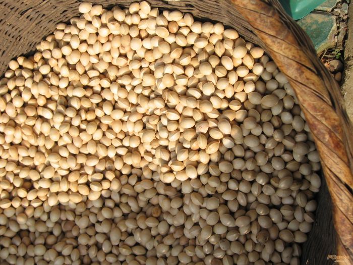 ���ӹ��Ĺ�Ч������ www.027eat.com