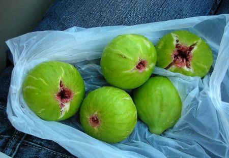 �޻�����Ӫ���ɷּ�������Ⱥ www.027eat.com