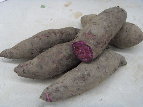 Ů�˶�Ժ���  �������������� www.027eat.com