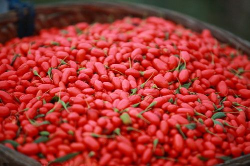 ��Ů�����ã���轵��Ĵ�������Ч www.027eat.com