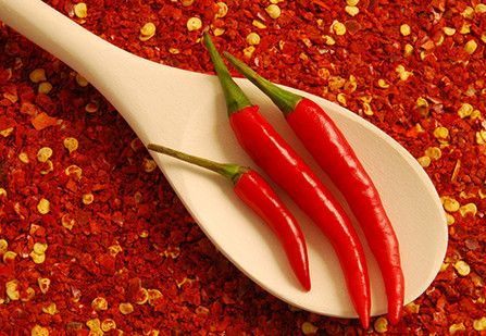 ��������10�����˺ô� ����������3��ע�� www.027eat.com