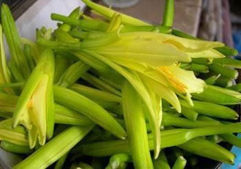 �϶�����Ҫע��Щʲô�𣿲϶����Ľ�����ʲô�� www.027eat.com