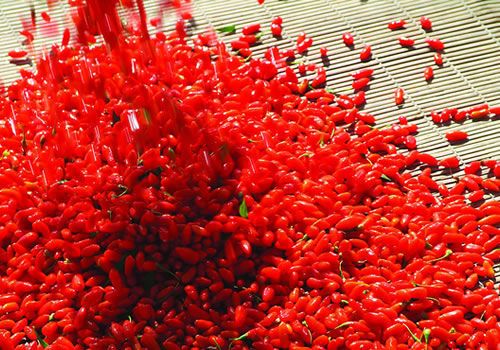 ��������������� www.027eat.com