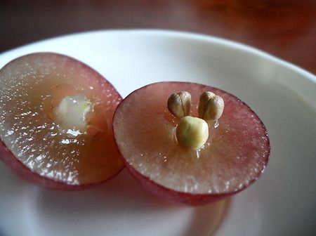葡萄籽能吃吗?葡萄籽有什么作用? www.027eat.com