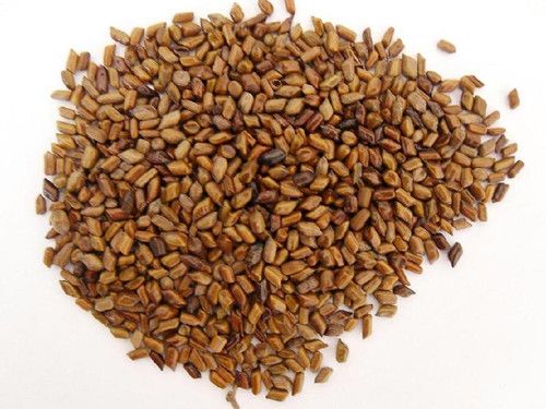 Ů�Կ���ʳ�þ����������β� www.027eat.com