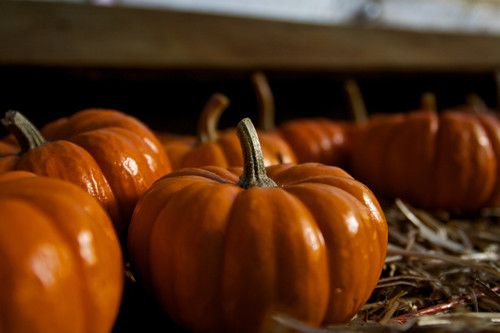 ��ʳ�������Ե��Ϲϻ�θ�Ŷ� www.027eat.com