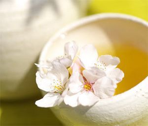 ��������ˮ������ www.027eat.com