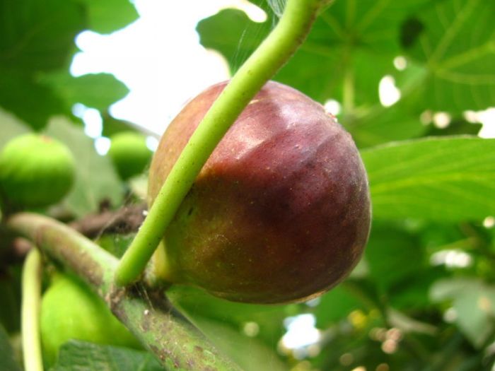 �޻������� www.027eat.com