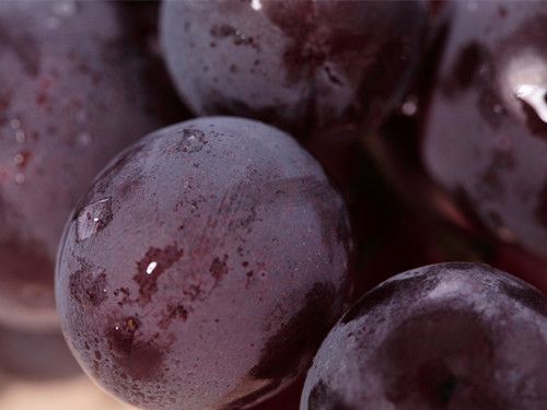 ��ʲô��ɫ�����ܼ���ϥ�ؽ�����ʹ www.027eat.com