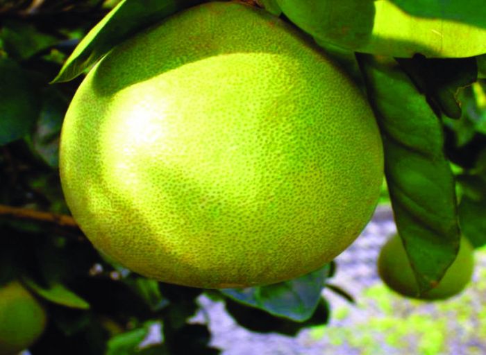 �ĵ�����������������ô�����ĵ������ӣ� www.027eat.com