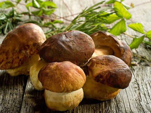 ���㹽��ʲô�ô� ��ˮ�ݷ��㹽Ԥ����ð www.027eat.com