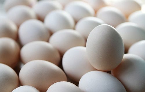 ����ʳ�ü�����������Ⱥ www.027eat.com