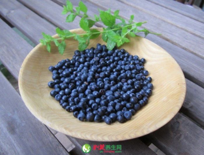 ������ѡ�ͱ���������ݮ�� www.027eat.com