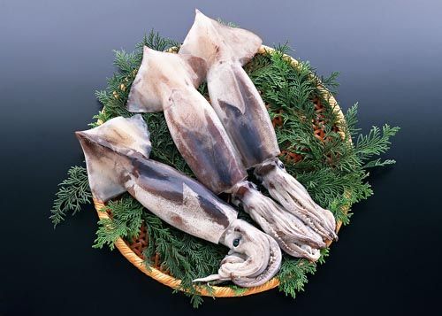 �����Ӫ����ֵ��ȫ www.027eat.com