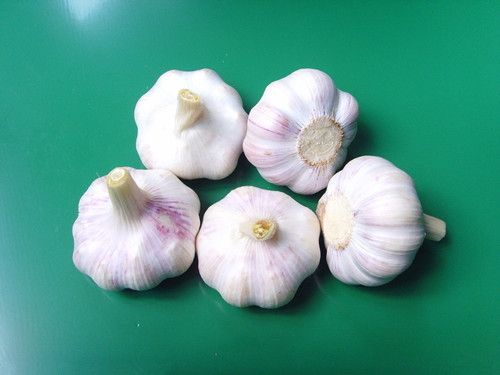 ��ҩ�������  ����Ĺ�Ч���̵� www.027eat.com