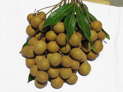 ��Բ�Ǹ��� ��������� www.027eat.com