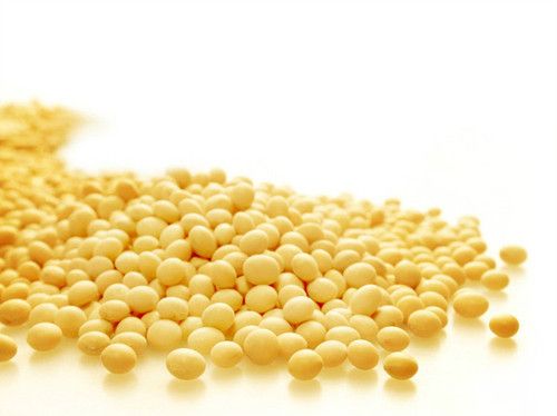 ���ƶ��ܳ��� �ƶ�����ʳע������ www.027eat.com