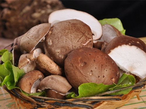 ���Ա��� �㹽��������Ч www.027eat.com