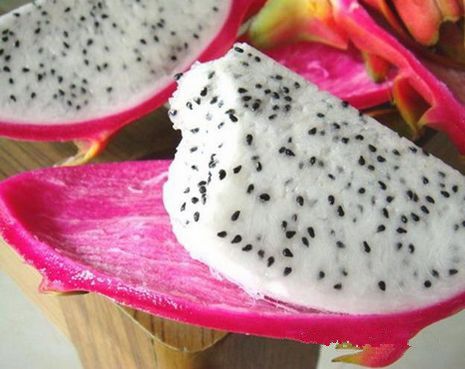 �����������Է���ó� www.027eat.com