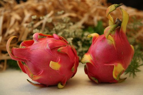 �����������Է���ó� www.027eat.com