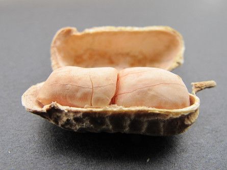 ��������Щʳ��ƫ���� www.027eat.com