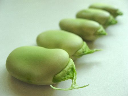 �϶��Ĺ�Ч������ ���Խ��͵��̴� www.027eat.com