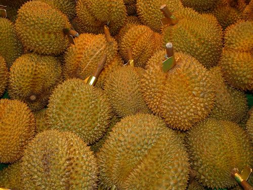 吃榴莲会致死 盘点食用榴莲时的那些禁忌 www.027eat.com