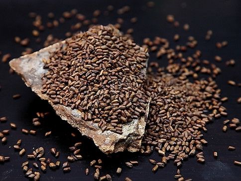 �����ӵĹ�Ч ������Ŀ��ͨ�� www.027eat.com