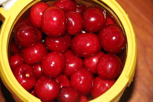 ӣ�Ҳ�Ѫ��ʹ��4�Ʒ� ����ӣ������ www.027eat.com