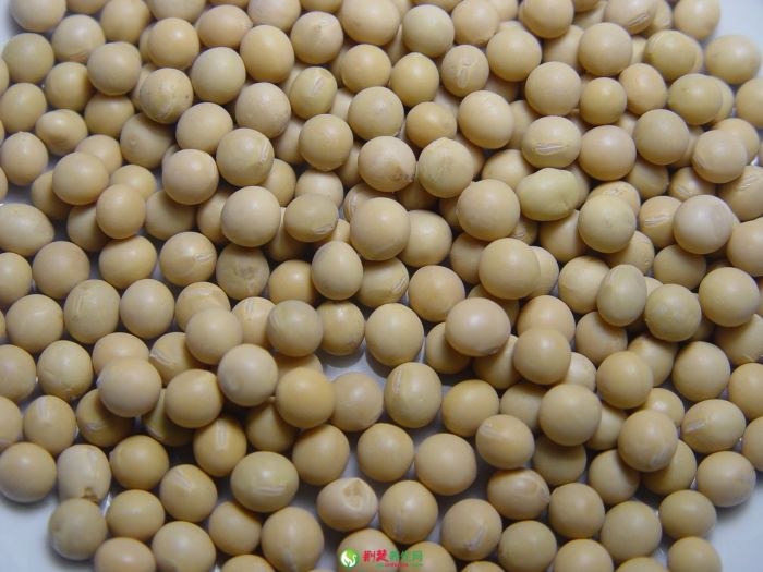 �ƶ��Ĺ�Ч�����ü�ʳ�÷��� www.027eat.com