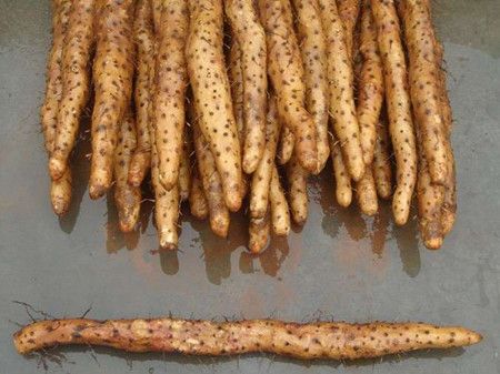 ɽҩ����������й�� www.027eat.com