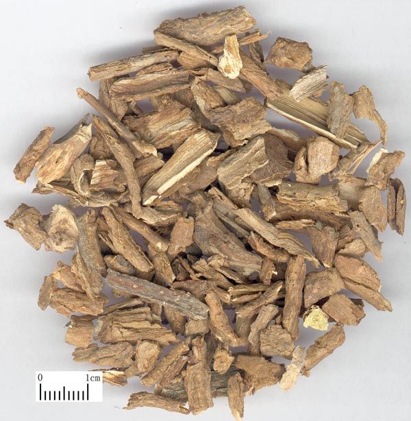 ��轸��������빦Ч �ع�Ƥ�������빦Ч www.027eat.com