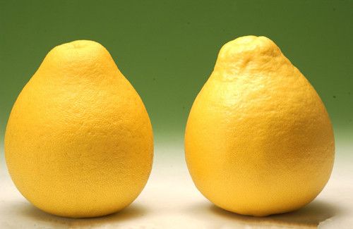 柚子保健功效大乱吃亦伤身 高血压者勿吃 www.027eat.com