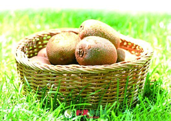 ⨺��ҵĺô� www.027eat.com