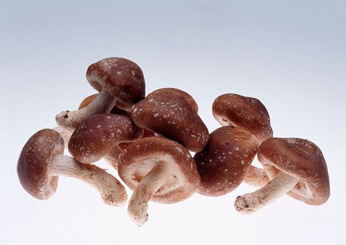 �㹽��Ϊ��֪�ı�����Ч www.027eat.com