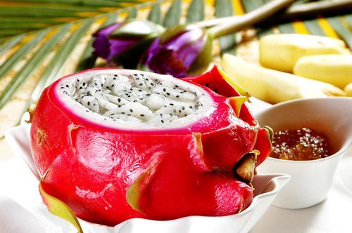 ��������Ӫ���ɷ���ҩ�� www.027eat.com