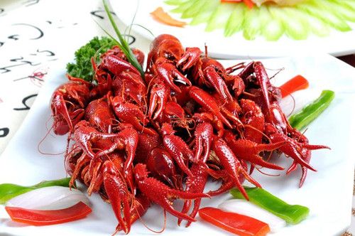 Ϻ��ô�� С��Ϻ�İ�ȫ�Է� www.027eat.com