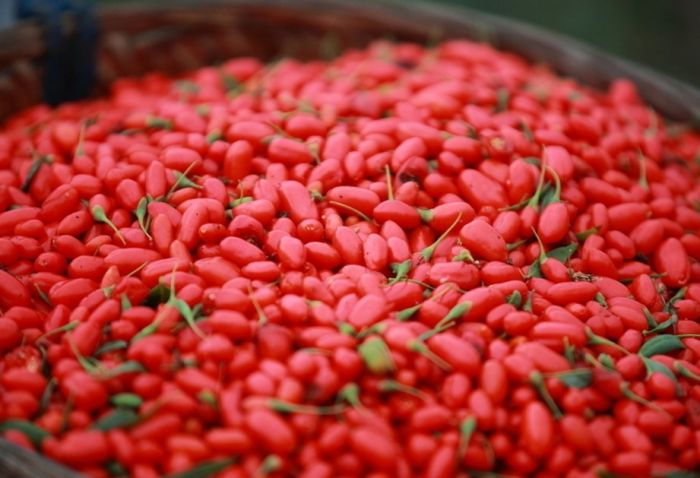 �����ô�ԣ�����������轳Է� www.027eat.com